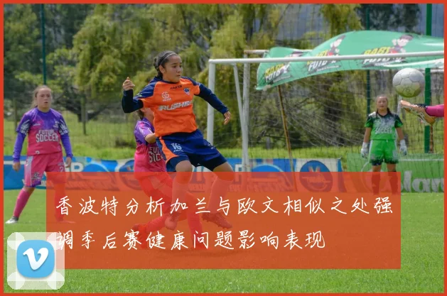 香波特分析加兰与欧文相似之处强调季后赛健康问题影响表现