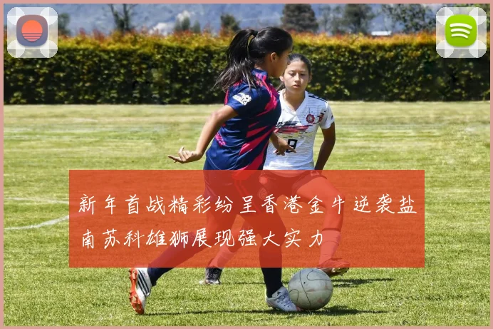 新年首战精彩纷呈香港金牛逆袭盐南苏科雄狮展现强大实力