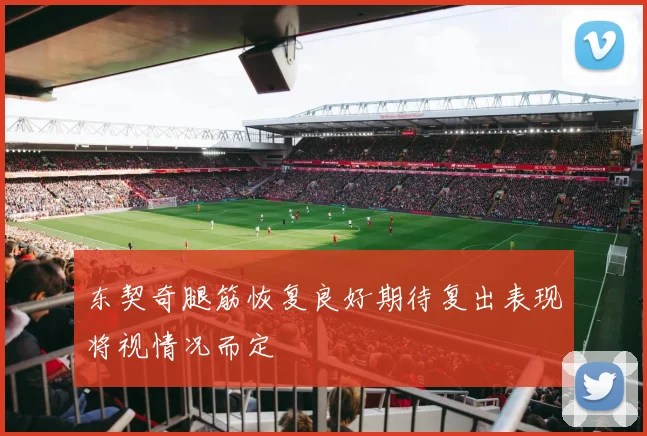 东契奇腿筋恢复良好期待复出表现将视情况而定